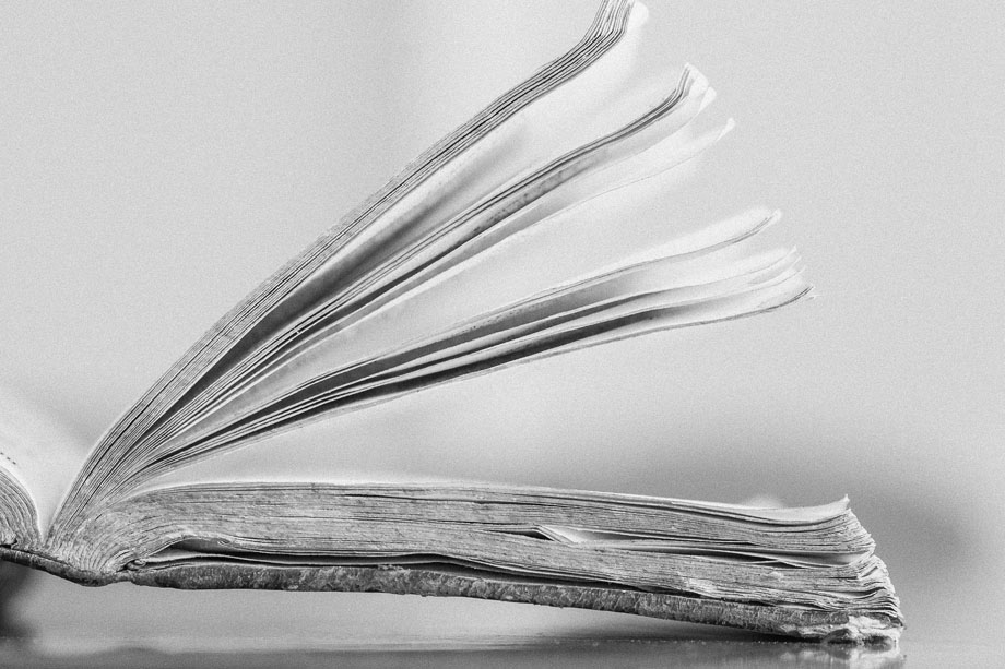 11 desembre 2014- Delso Quintana advocats. FOTOGRAFIES DE TONI VILCHES.